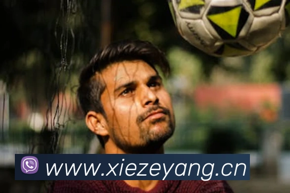 App Interface Preview