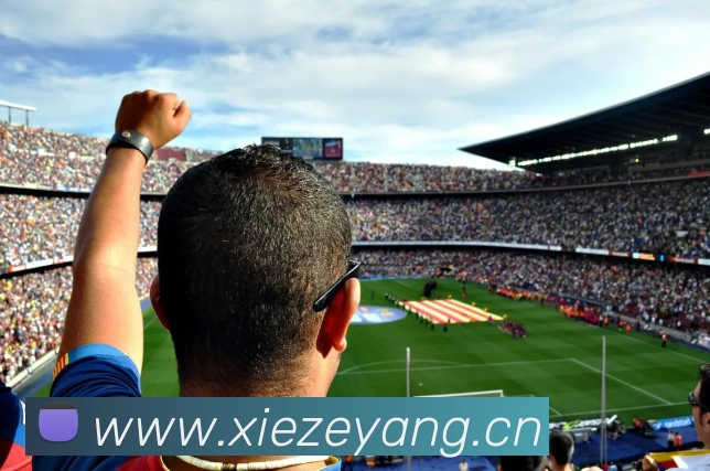 云开体育在线登陆APP 封面图